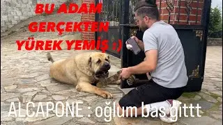 İNANILMAZ GERGİN DAKİKALAR ALCAPON VS SONER