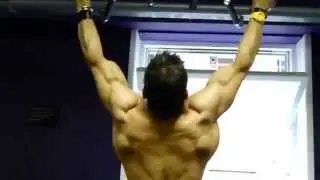 Подтягивания   Спина хищника
