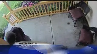 Man Arrested for Porch Poaching
