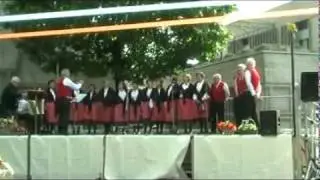 20100516-iamis-515.mp4