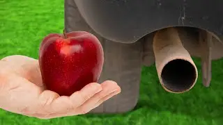 Experiment: Apple in Car Exhaust Pipe - What will happen?