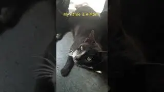 Am I cute?