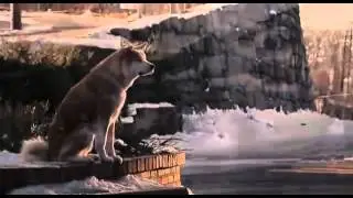 Хатико красивый клип до слез