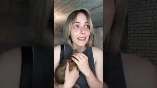СКЕТЧ ТИКТОК / TIKTOK || NIKOL KOULEN