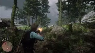 Red Dead Redemption 2 - Gameplay Randômica 11