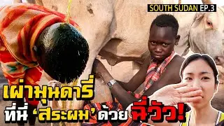 Mundari Tribe Who Bath with Cow’s...