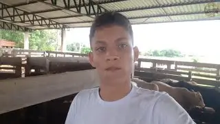 TREINOS EM TOURO ( 2021)
