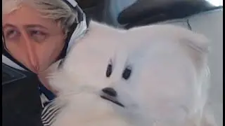 important video