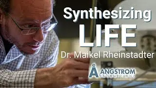 Synthesizing Life | Dr. Maikel Rheinstadter | Research Spotlight