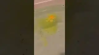 Testing someone’s handmade bath bomb. Terrible bomb: itchy and ugly