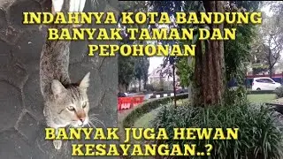 Bagus Masih banyak Pepohonan di kota Bandung BIKIN SEJUK  || @ASGARCIL