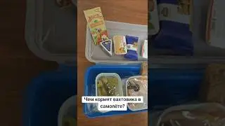 Чем кормят вахтовика в самолёте 