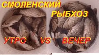 Смоленский рыбхоз - УТРО VS ВЕЧЕР.