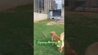Happy Pet Boarding| In-house care  