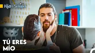 No Puedo Dejar De Amarte - Pájaro Soñador