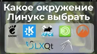 Which Linux environment to choose 2024