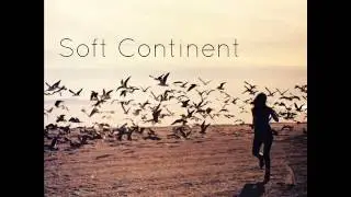 Soft continent - Scars