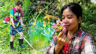 WE STARTED CLEANING UP OUR LAND AND FOUND A WATER SOURCE | ISLAND LIFE