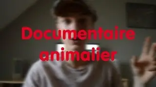 une journée sauvage [documentaire animalier ]