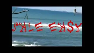 Sei - SALE EA$Y (Visualizer)