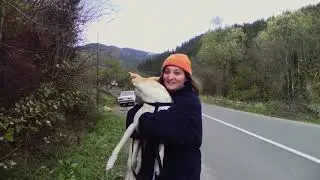 1. Slow living.  Going to Carpathian Mountains for a weekends