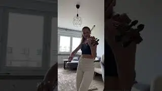 ViOLiNiA - Imagine Dragons - Believer