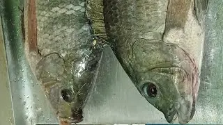 DINA MAITAAS ANG MGA ISDA DITO GRABE PUTOL ANG TANSI