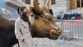 Búfalo (ou touro) de Wall Street