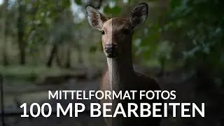 100 MP Bilder in Lightroom bearbeiten - Mittelformat mit der GFX100 II