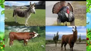 Учим животных и их звуки Развивающий мультфильм