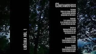 Libélula - Metamorfosis (Audio)