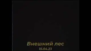 15.04 Внешний лес