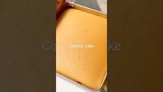 Castella Cake 