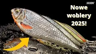 Woblery JAXON 2025, które gwarantują sukces!