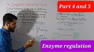 Compartmentation and Enzyme degradation Enzyme regulation part 4, 5