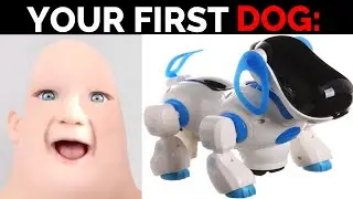 Mr Incredible Becoming Old (Your First Dog) #2