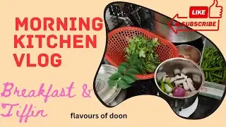 Morning breakfast & tiffin preparation: My daily kitchen vlog