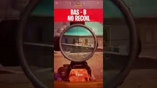BAS B