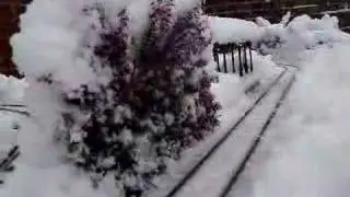 Trains in the snow