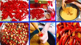 भरवा मिर्च🌶️🌶️ का अचार, बहुत ही स्वादिष्ट रेसिपी। #priyankasonuvlog .