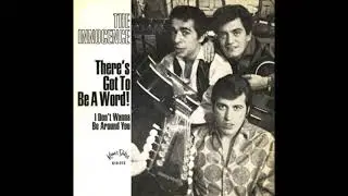 The Innocence - There's Got To Be A Word 1966 Clean