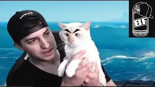 BoxyFresh - An Alfredo Cat Story of Revenge