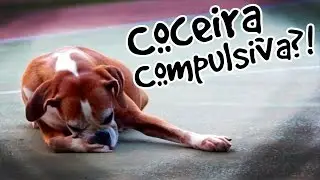 Coceira Compulsiva?!