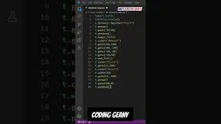 Windows on python turtle👨‍💻👨‍💻 