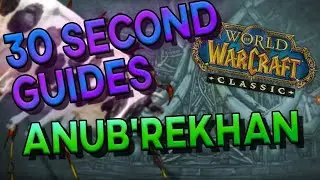 Anub'Rekhan - 30 Second Guides - Naxxramas