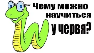 Чему учит нас природа?