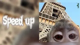 ~Toxi$ - CRANKI {speed up}~🎧💋