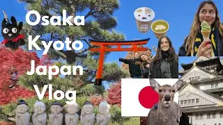 Osaka and Kyoto 🍵 castles, temples, matcha, sake and autumn leaves