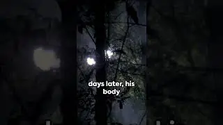 The Disappearance Of Todd Sees
