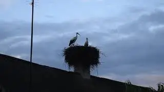 деревенька моя